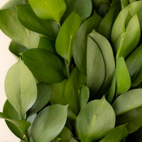 Israeli Ruscus Cross Wreath