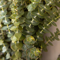 Baby Eucalyptus Cross Wreath