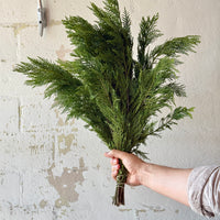 Green Leyland Cypress Bunches
