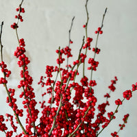 Close-up of red winterberry berries on bare branches
