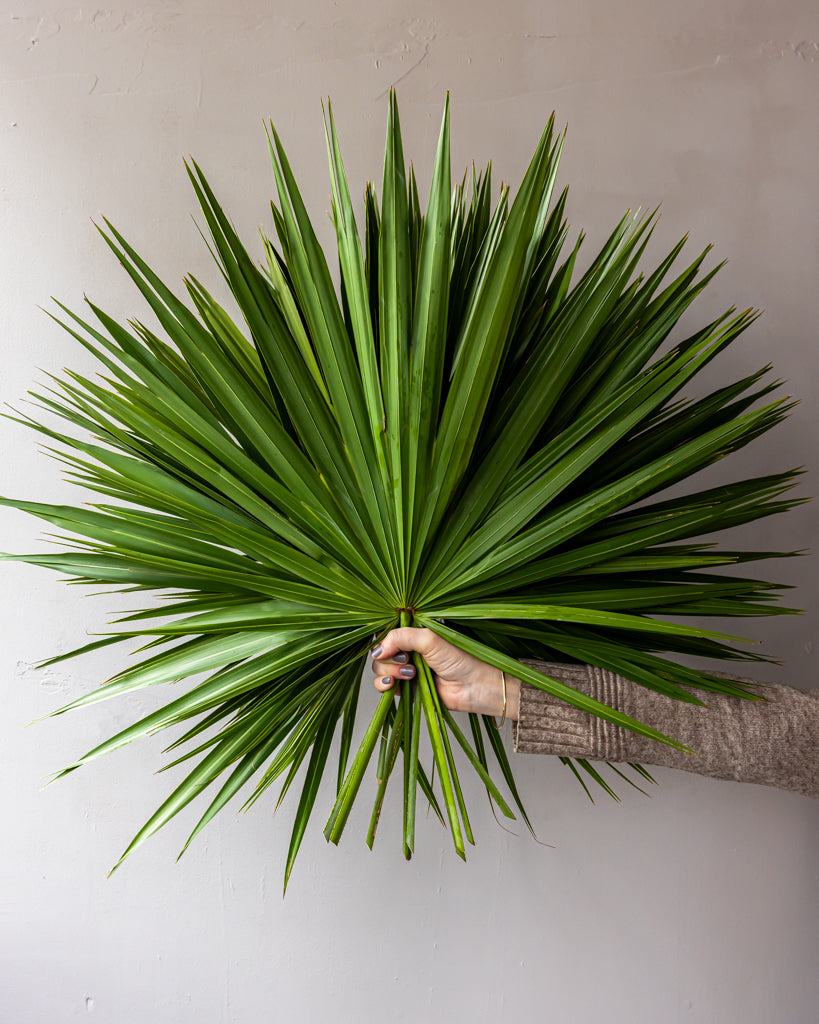 Palm Fans – Gracious Garlands