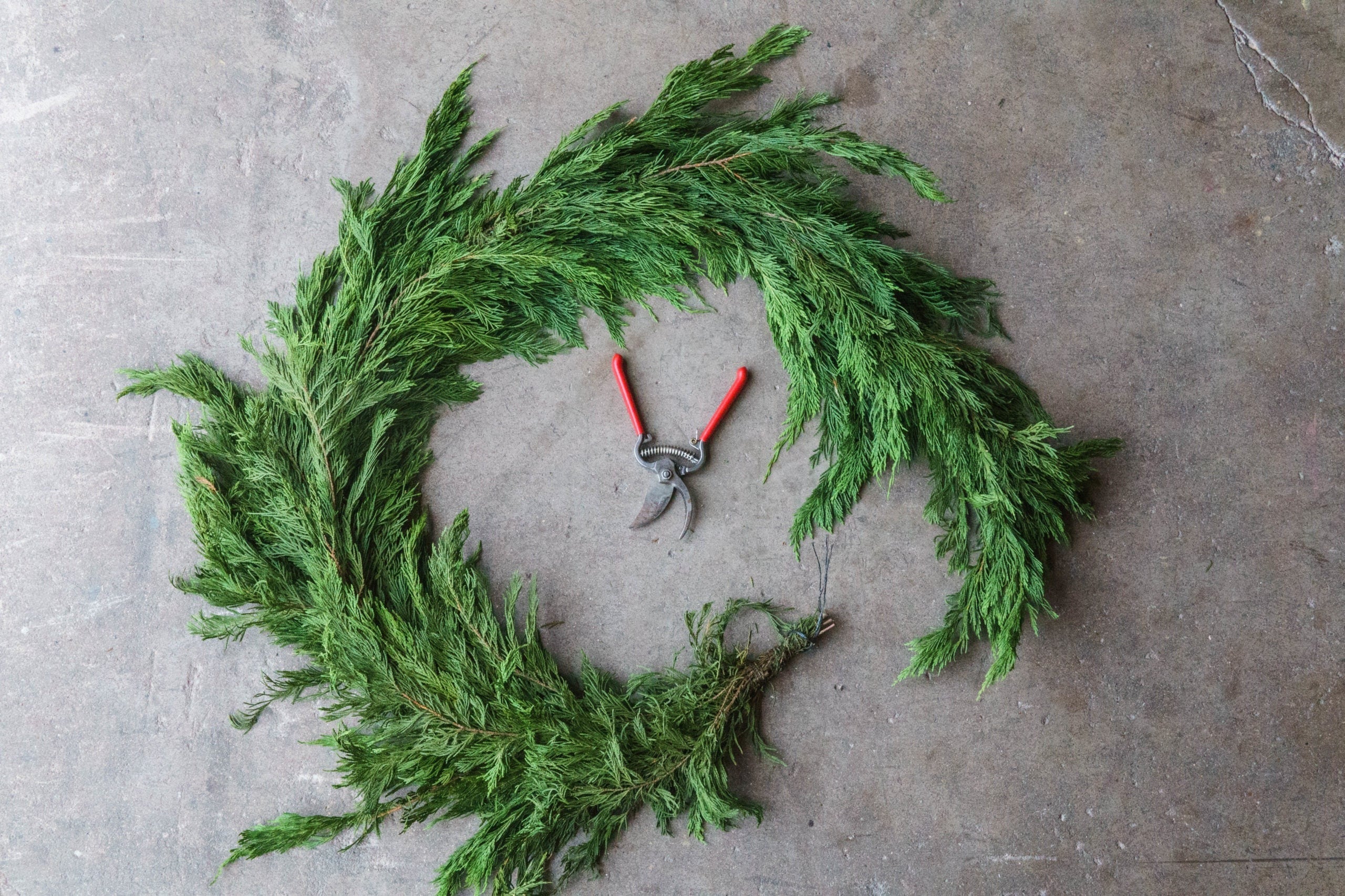 Leyland Cypress and Cedar Garland Fresh Winter Garland Gracious