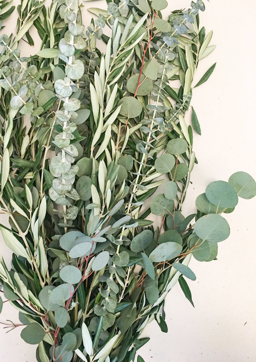 Silver Dollar Eucalyptus, Olive Leaf, and Babys Breath Garland – The  Garland Guy