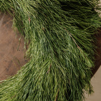 Holiday Pine Wreath