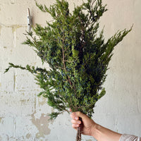 Blueberry Cedar Bunches