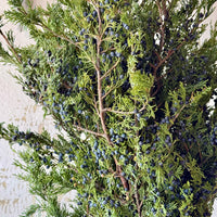 Blueberry Cedar Bunches