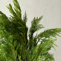 Green Leyland Cypress Bunches