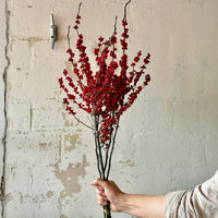 Bulk fresh winterberry branches with bright red berries