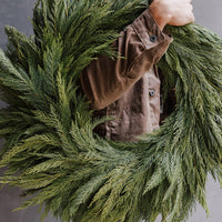 Leyland Cypress Wreath