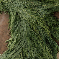 Leyland Cypress Wreath