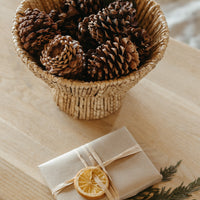 Bundle of Pinecones