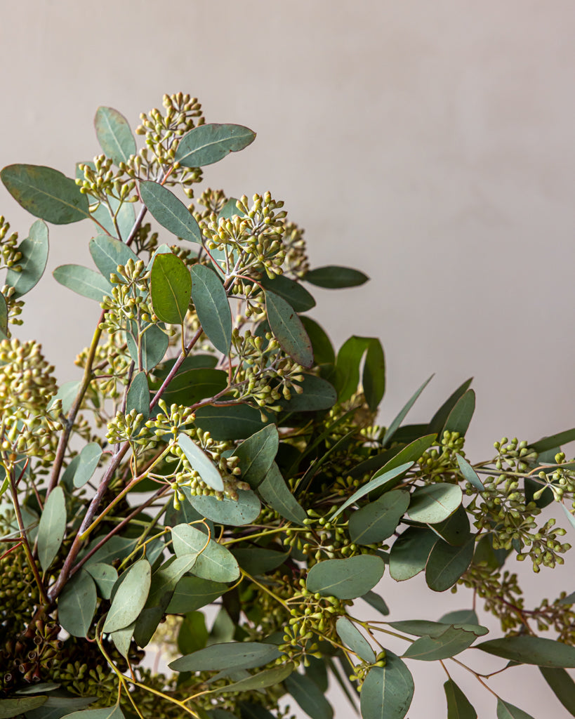 Seeded Eucalyptus Bunches