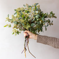 Seeded Eucalyptus Bunches