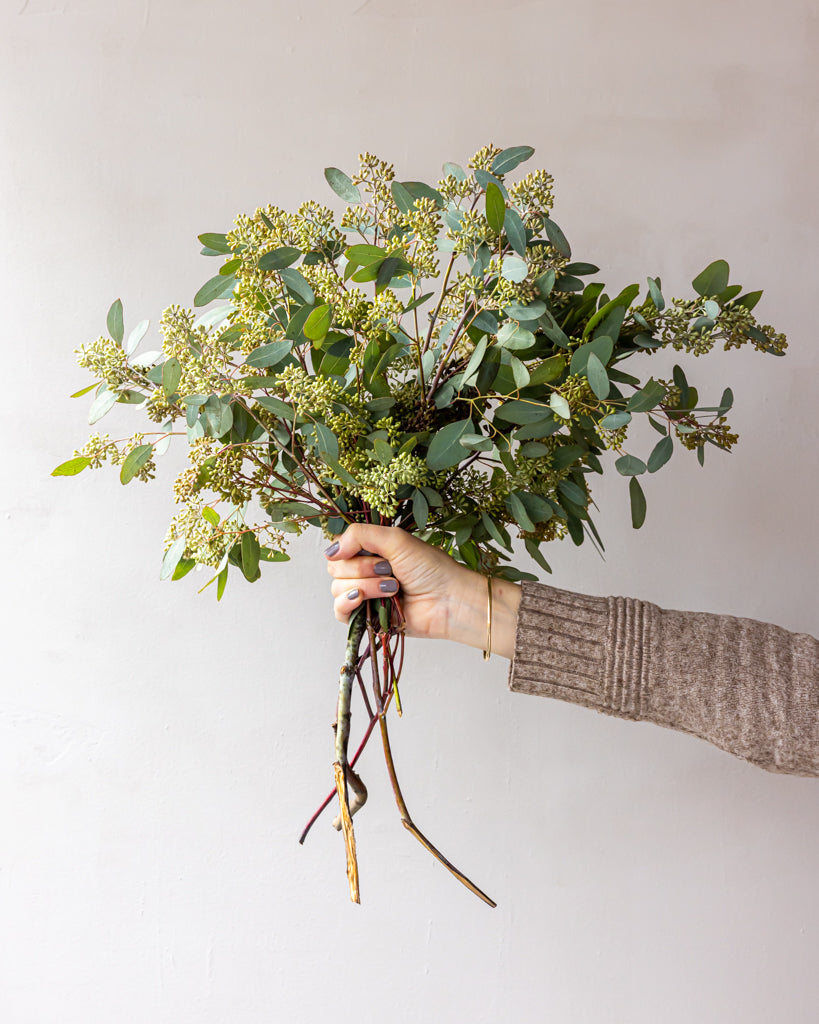 Seeded Eucalyptus Bunches