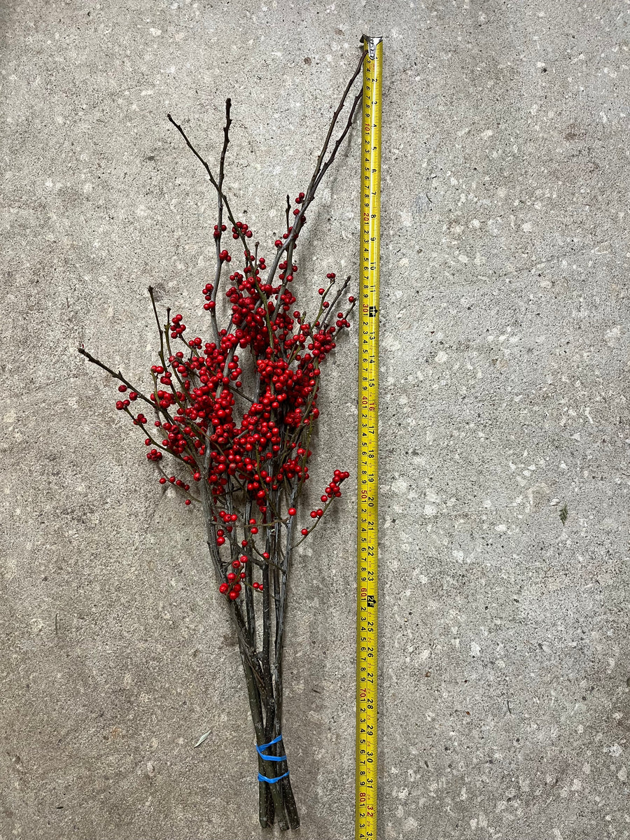 Winterberry Branches