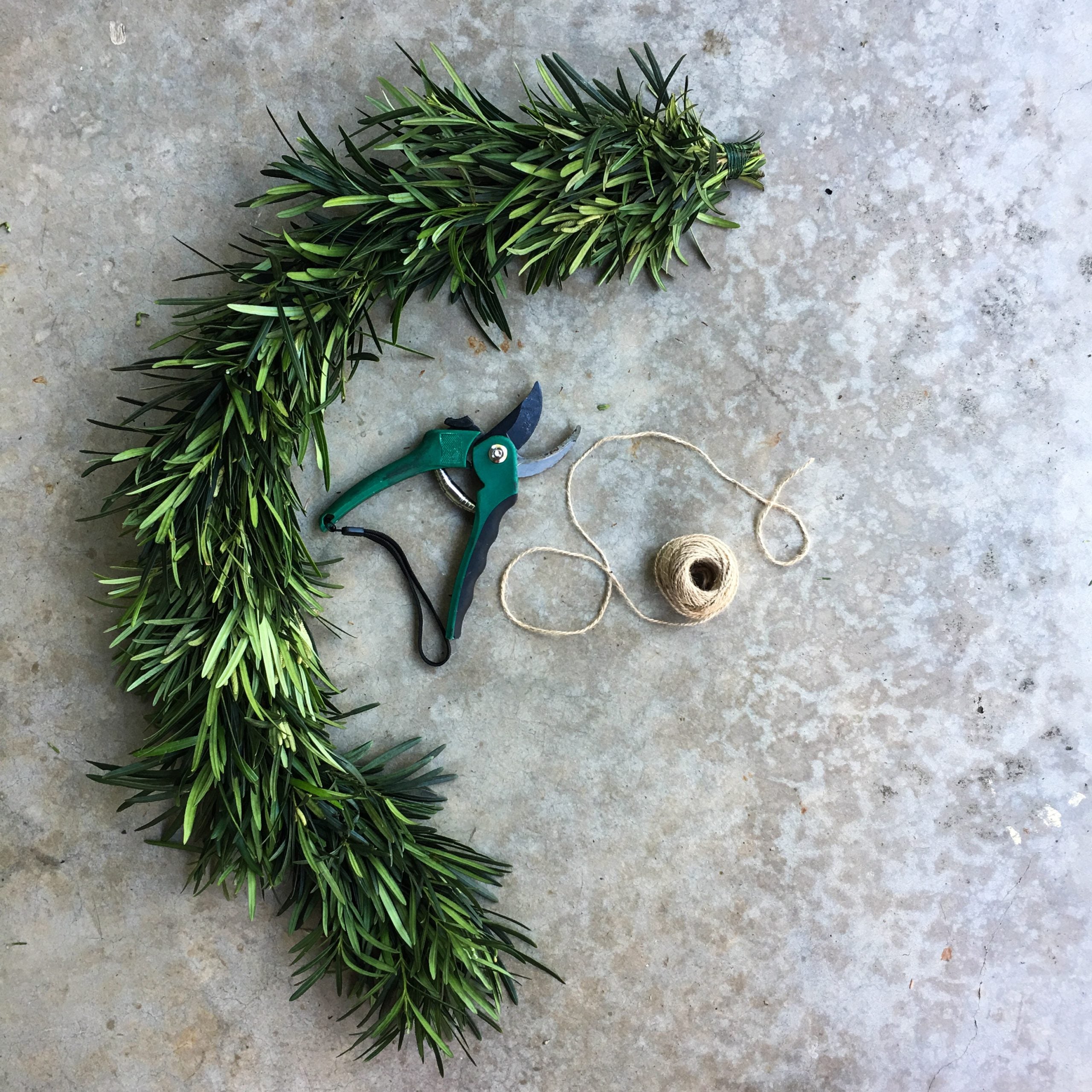 Podocarpus Thread | | Fresh Garland – Gracious Garlands