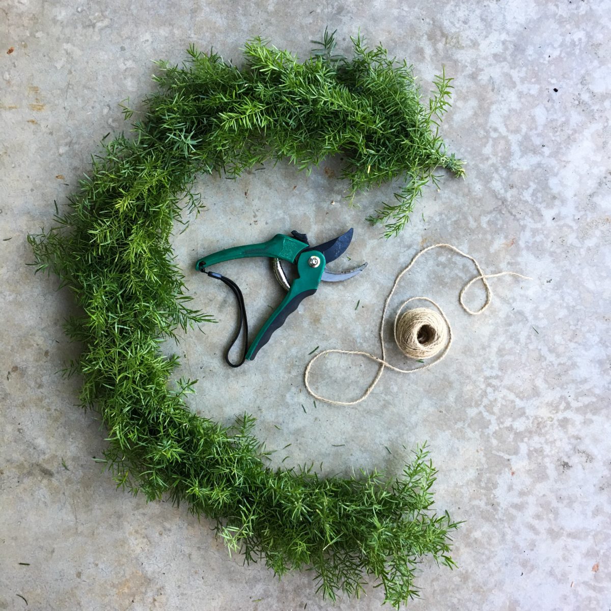 Sprengeri Thread | | Fresh Garlands – Gracious Garlands