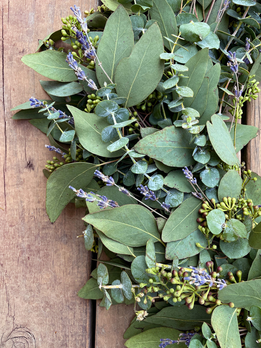 lavender and eucalyptus plants Lavender Eucalyptus Wreath