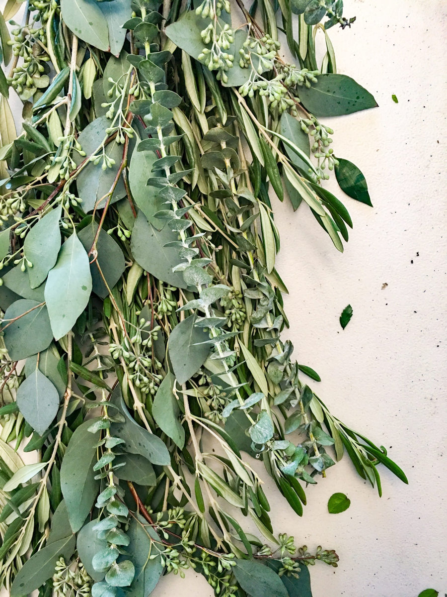 Olive + Baby + Seeded Eucalyptus